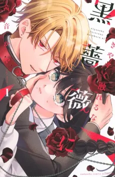 Kiyasuku Fureru na Kuroshoubi ni cover