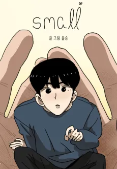 Small cover