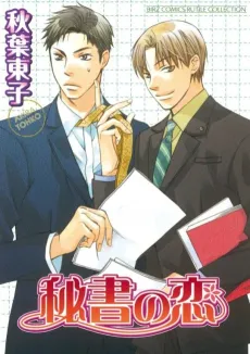 Secretary's Love cover