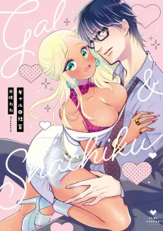 The Party Girl And The Corporate Slave: There's No Telling What A Businessman At The End Of His Wits Will Do! cover