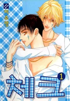 Check cover