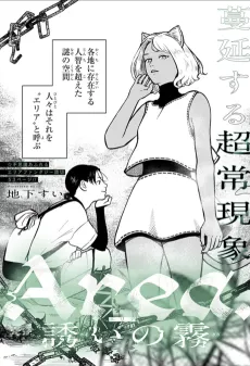 Area: The Beckoning Mist cover