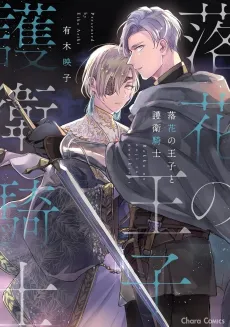 Rakka no Ouji to Goei Kishi cover