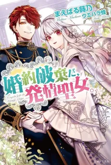 The Inconvenient Life of an Arousing Priestess cover