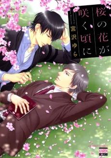 When the Cherry Blossoms Bloom cover