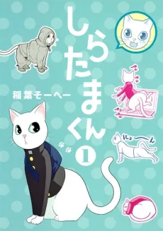 Shiratama-kun cover