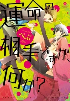 Unmei no Aite Desu ga, Nani ka? cover