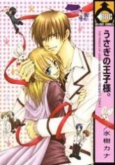 The Prince Of Usagi cover
