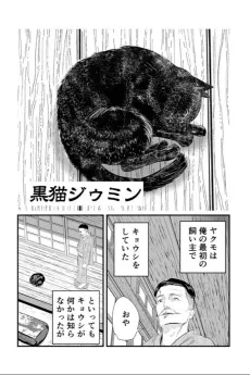 Black Cat Jiumin cover