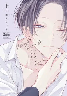 Flawful Remedy cover