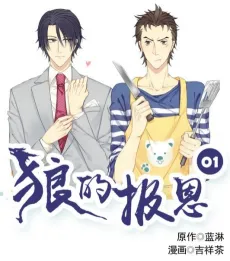 Lang De Bao En cover