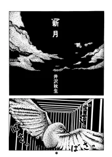 Shingetsu cover