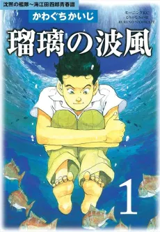 Ruri no Namikaze cover