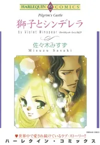 Pilgrim's castle cover