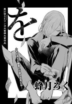 Wo cover