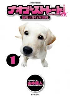 Nao Go Straight -Guide Dog Trainer- cover