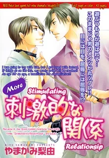 Motto Shigekiteki na Kankei cover