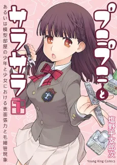 Punipuni to Sarasara: Aruiwa Mokeibeya no Shounen to Shoujo ni Okeru Hyoumen Chouryoku to Mousaikan Genshou cover