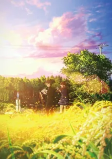 Hakubo cover