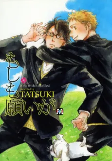 If the wish is fulfilled cover