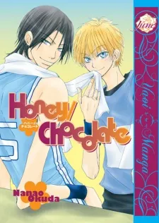 Honey / Chocolate cover