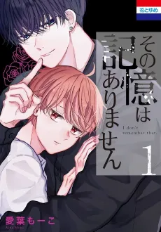 Sono Kioku wa Arimasen cover