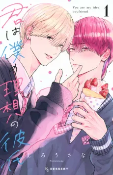 Kimi wa Boku no Risou no Kareshi cover