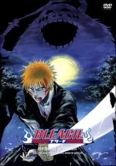 BLEACH: memories in the rain cover