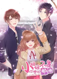 Miss, It's Really Not What You Think cover