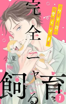 Kanzen Nyaru Shiiku cover