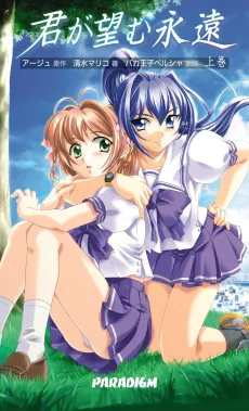 Kimi ga Nozomu Eien cover