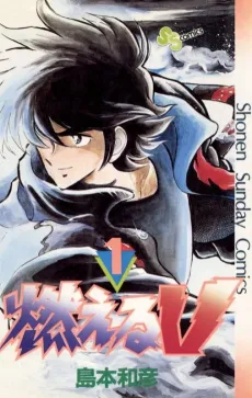Moeru V cover