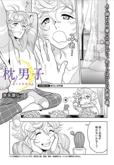 Makura no Danshi cover