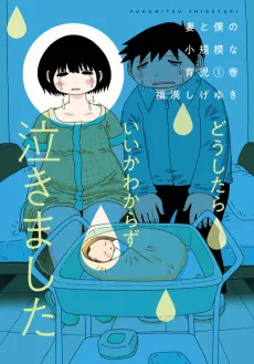 Tsuma to Boku no Shoukibo na Ikuji cover