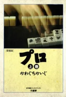 Pro: Mahjong-kai no Hikari to Kage cover