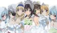 IS: Infinite Stratos 2 - Infinite Wedding cover