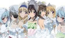IS: Infinite Stratos 2 - Infinite Wedding cover