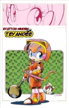 Kyattou Ninden Teyandee cover