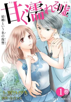 Seeking Revenge Through Marriage cover