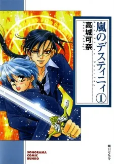 Arashi no Destiny cover