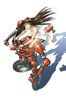 RideBack cover