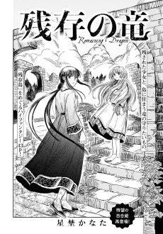 Zanzon no Ryuu cover