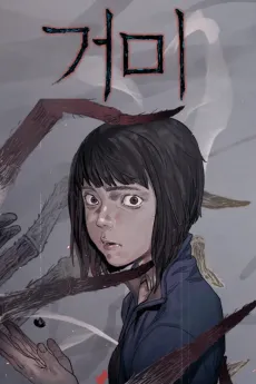 Geomi cover