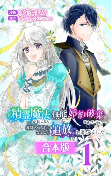 Seirei Mahou ga Tsukaenai Munou dato Konyaku Haki sareta node, Gimai no Dorei ni Naru yori Tsuihou wo Erabimashita cover