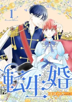 The Newlywed Transfer cover