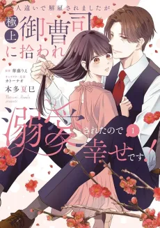 Hitochigai de Kaikosaremashita ga, Gokujou Onzoushi ni Hiroware Dekiaisareta Node Shiawase desu! cover