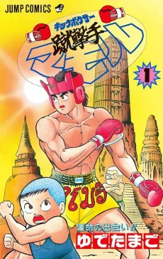 Kegeishu Mamoru cover