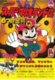 Super Mario Land 2: 6-tsu no Kinka cover