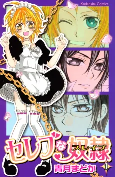 Celebrity Slave cover