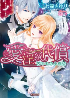 Aiin no Daishou: Toraware no Kotori-hime cover